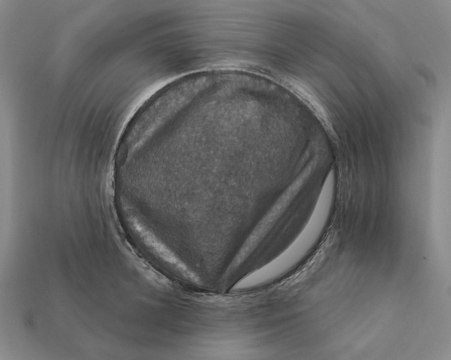 X0000112430948200909111027