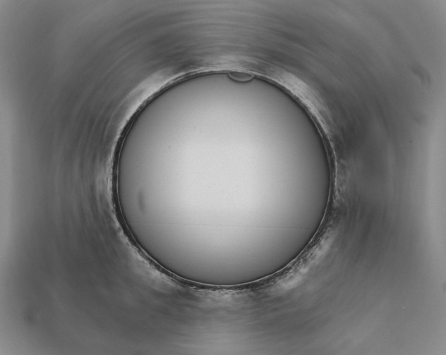 X0000112430949200909111027