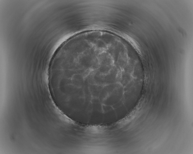 X0000112430950200909111027