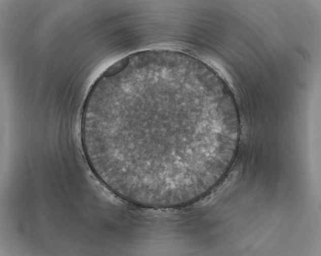 X0000112430952200909111027