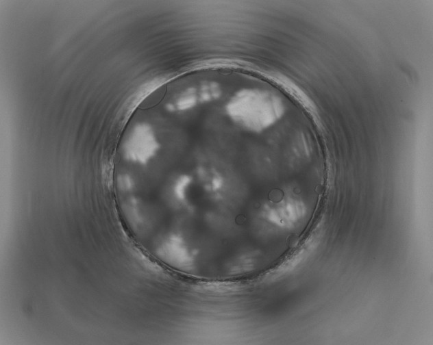 X0000112430953200909111027