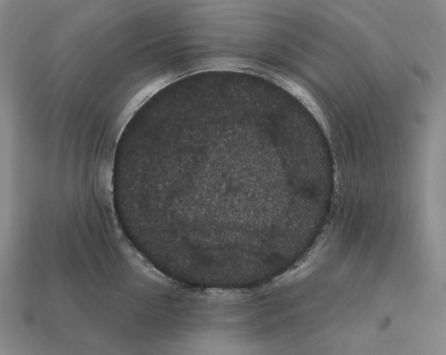 X0000112430954200909111027