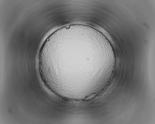 X0000112430955200909111027