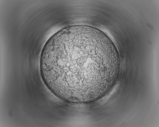 X0000112430957200909111027