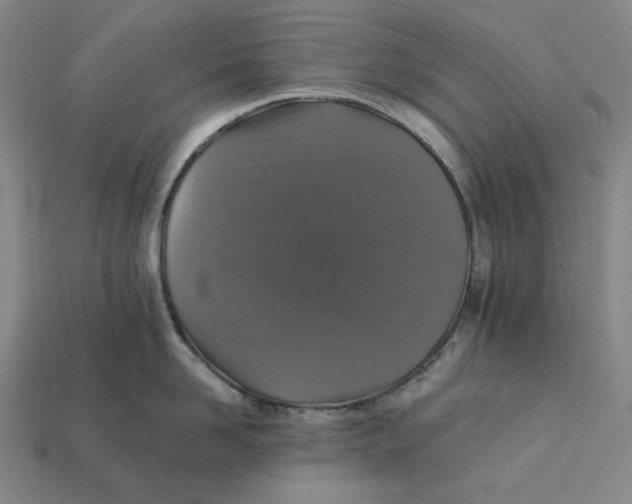 X0000112430958200909111027