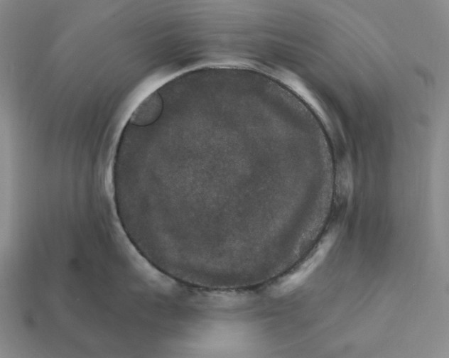 X0000112430959200909111027