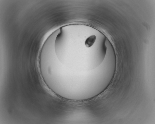 X0000112430960200909111027
