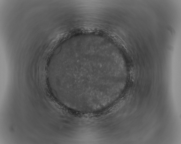 X0000112430961200909111027