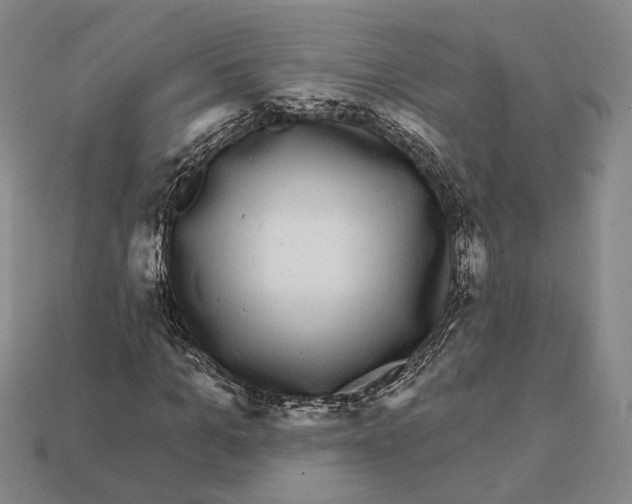 X0000112430965200909111027