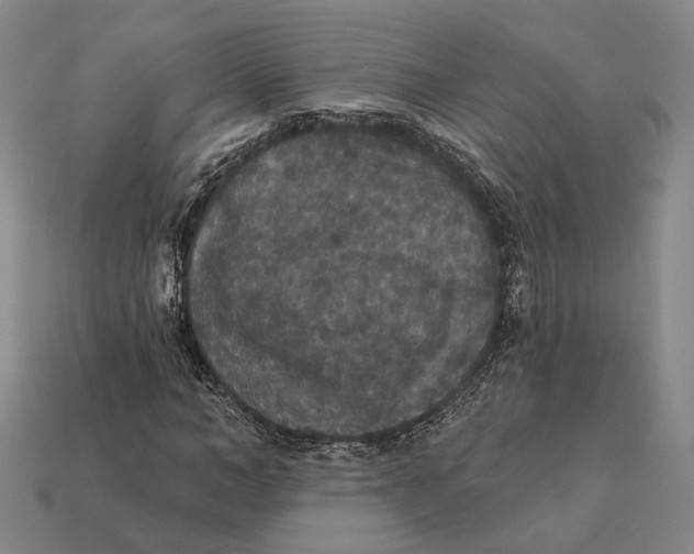 X0000112430966200909111027