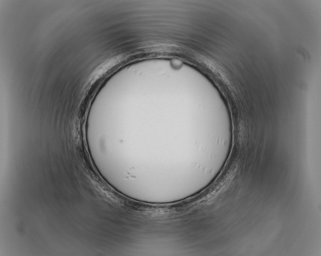 X0000112430970200909111027