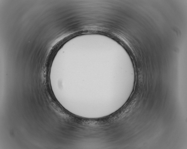X0000112430971200909111027