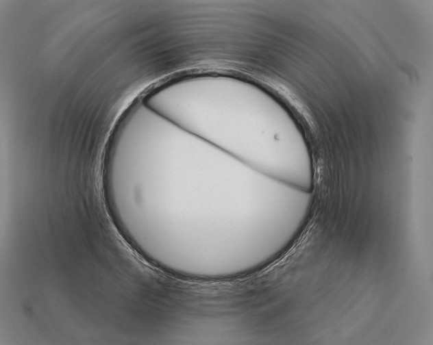X0000112430972200909111027