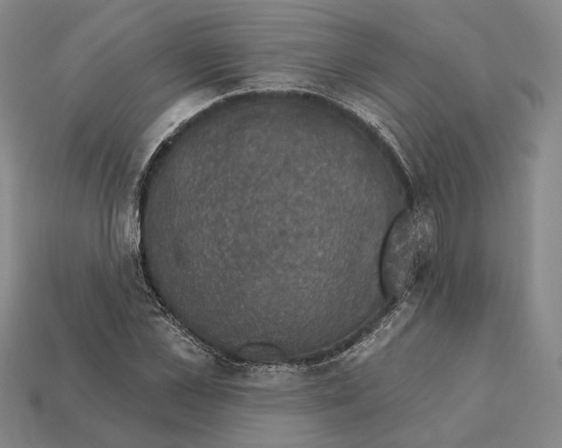 X0000112430973200909111027