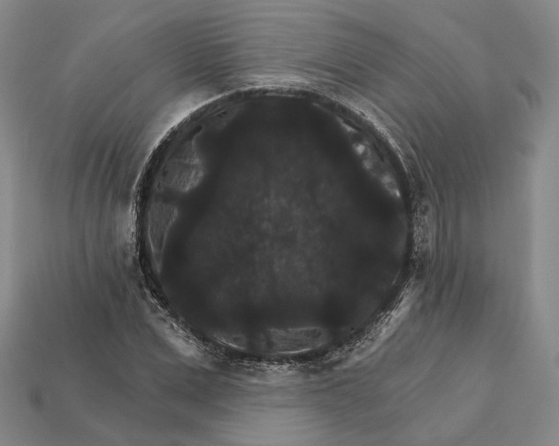 X0000112430975200909111026