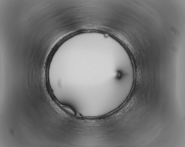 X0000112430976200909111026