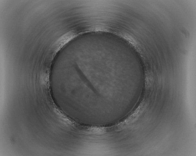 X0000112430977200909111026