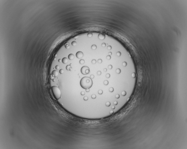 X0000112430978200909111026