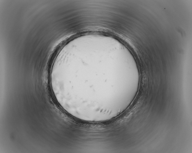 X0000112430979200909111026