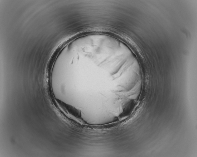 X0000112430981200909111026