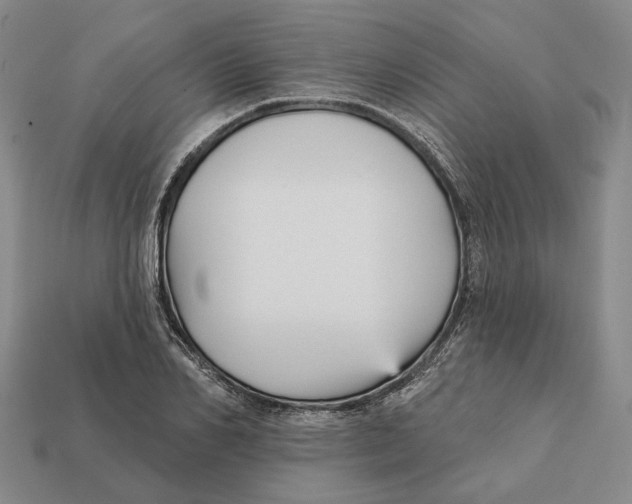 X0000112430982200909111026