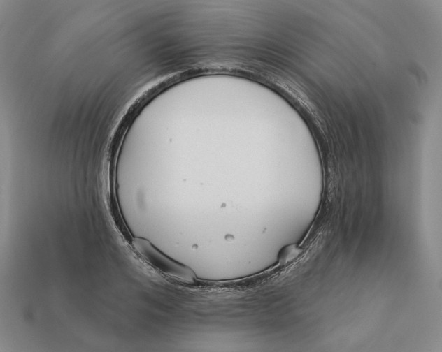 X0000112430984200909111026