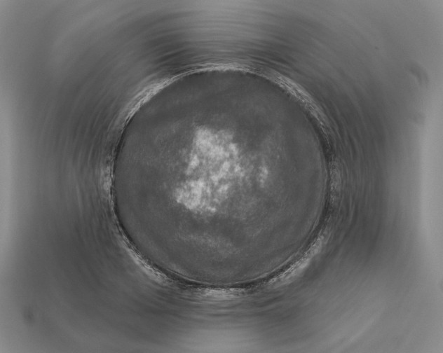 X0000112430985200909111026