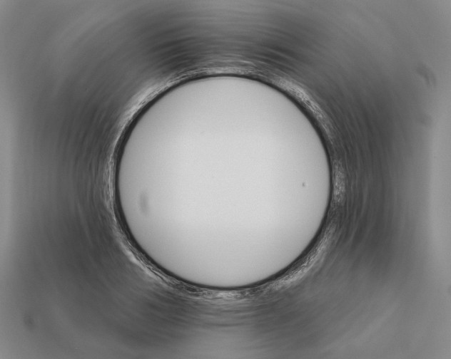 X0000112430986200909111026