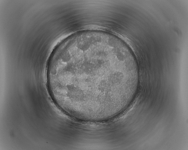 X0000112430987200909111026