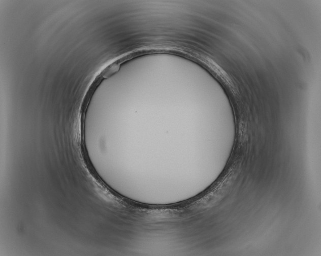 X0000112430988200909111026