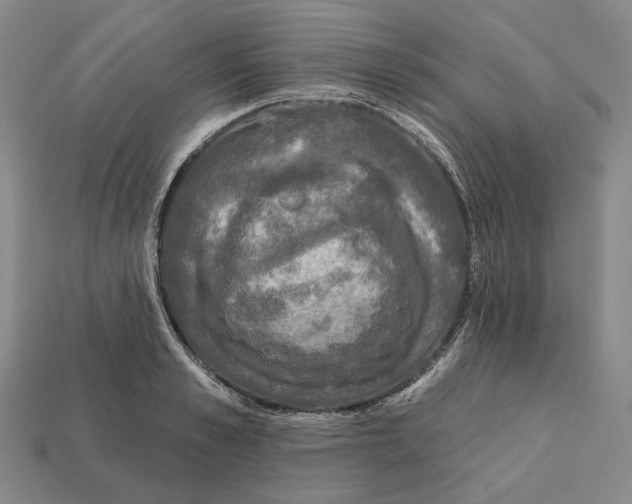 X0000112430989200909111026