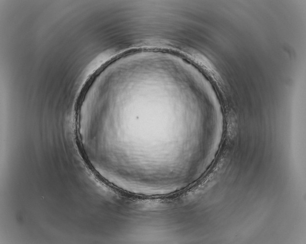 X0000112430990200909111026