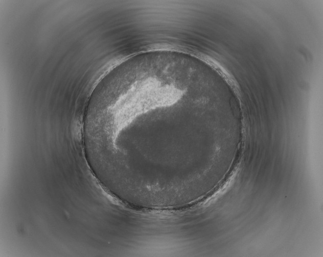 X0000112430993200909111026
