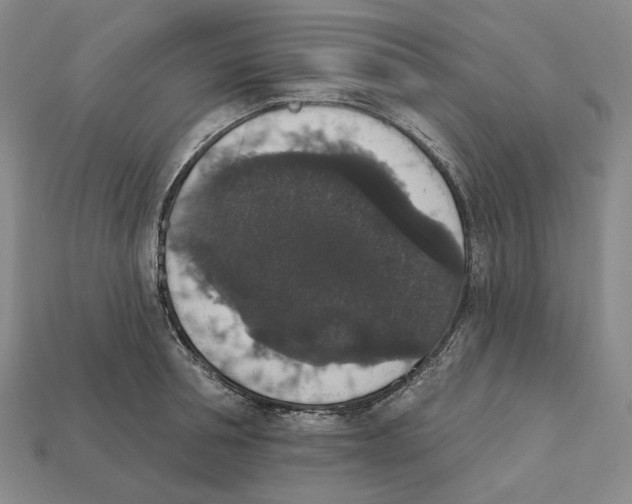 X0000112430994200909111026