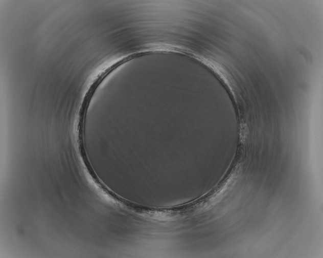 X0000112430995200909111026