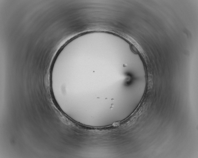 X0000112430996200909111026