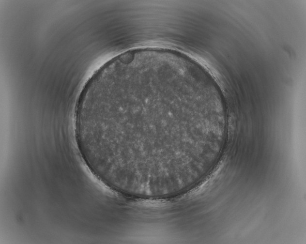 X0000112430998200909111026