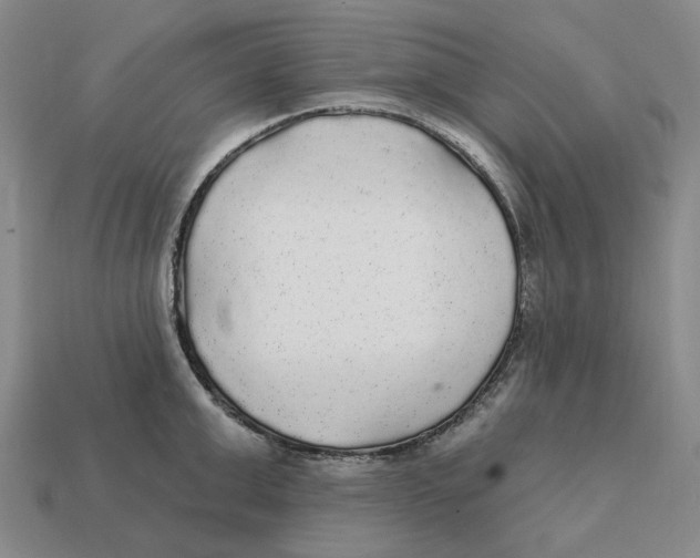X0000112430999200909111026