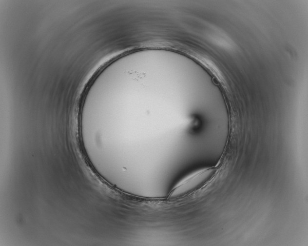 X0000112431000200909111026