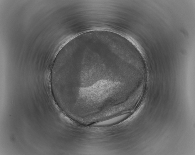 X0000112431001200909111026