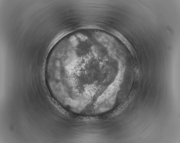 X0000112431002200909111026