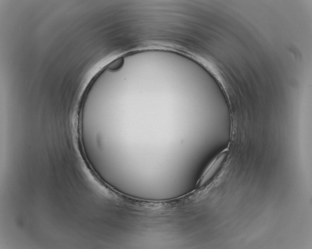 X0000112431003200909111026