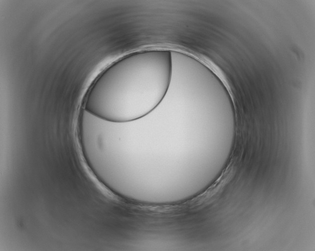 X0000112431005200909111026