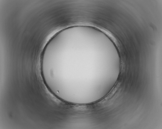 X0000112431006200909111026