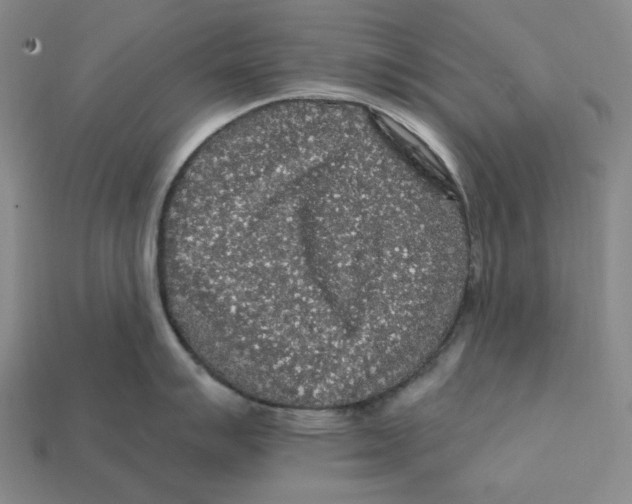 X0000112431007200909111026