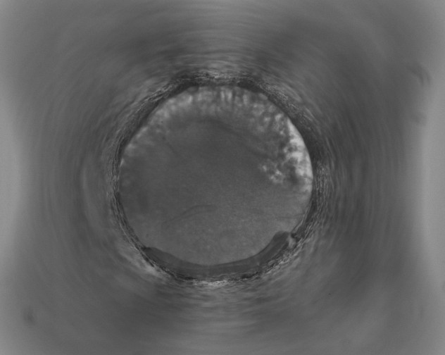 X0000112431009200909111025