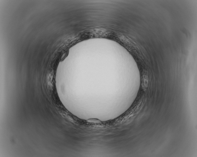 X0000112431010200909111025