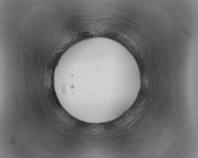 X0000112431012200909111025