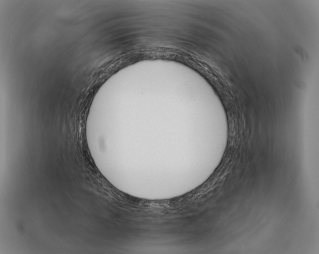 X0000112431013200909111025