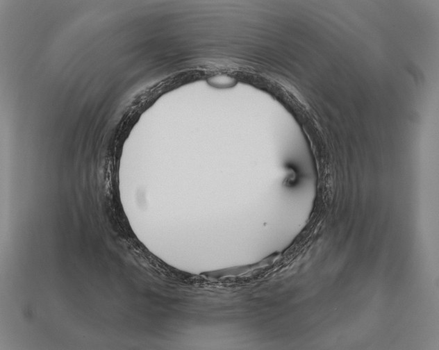 X0000112431016200909111026